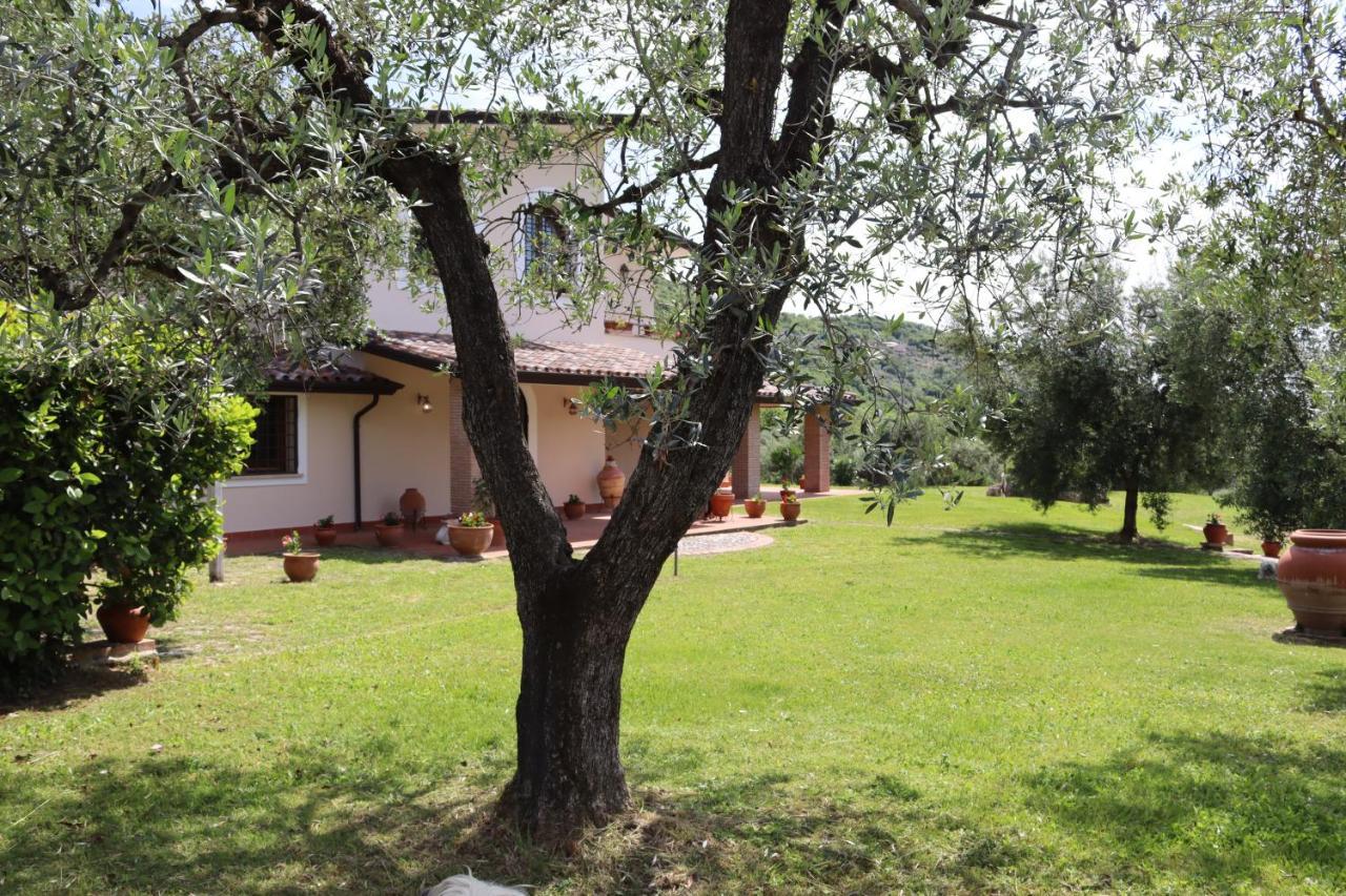 Agriturismo Il Bagolaro Nerola Exterior photo