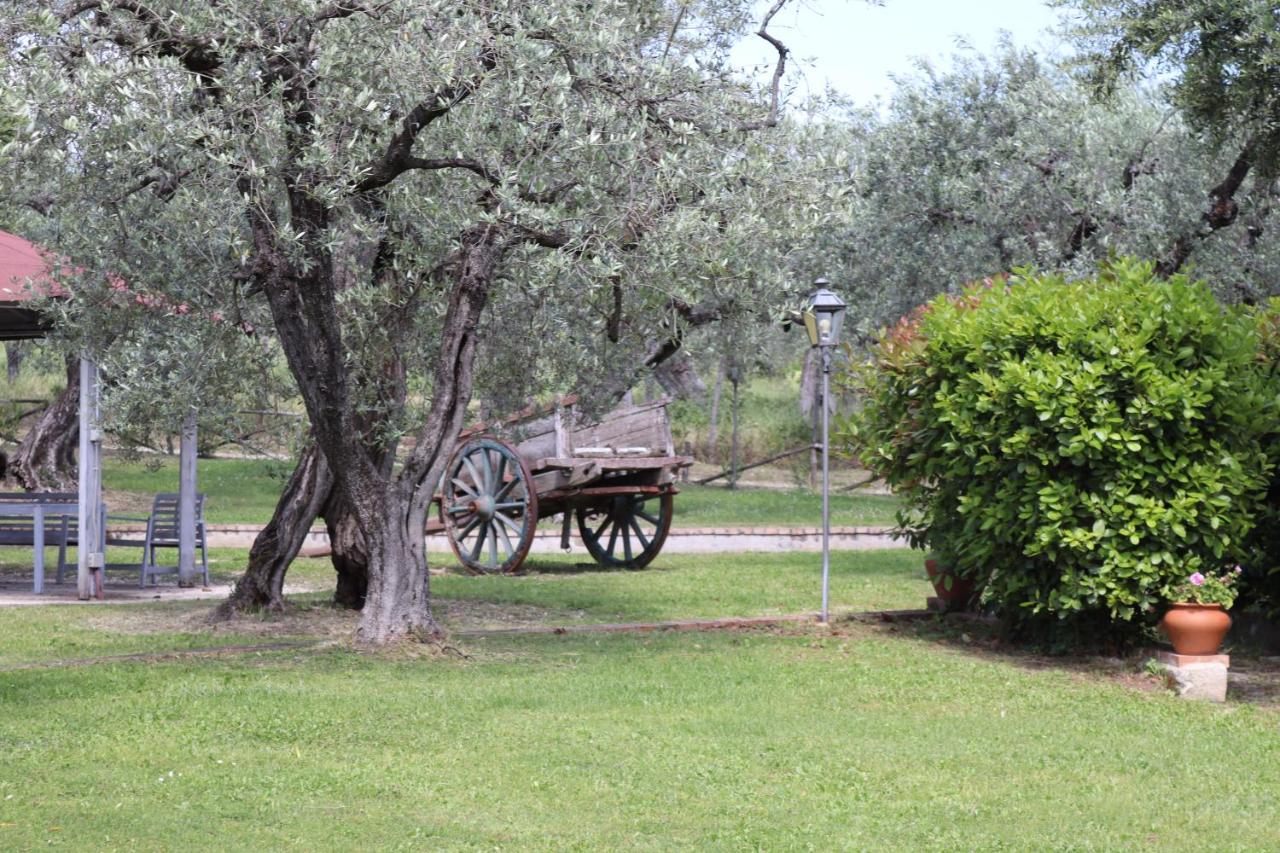 Agriturismo Il Bagolaro Nerola Exterior photo